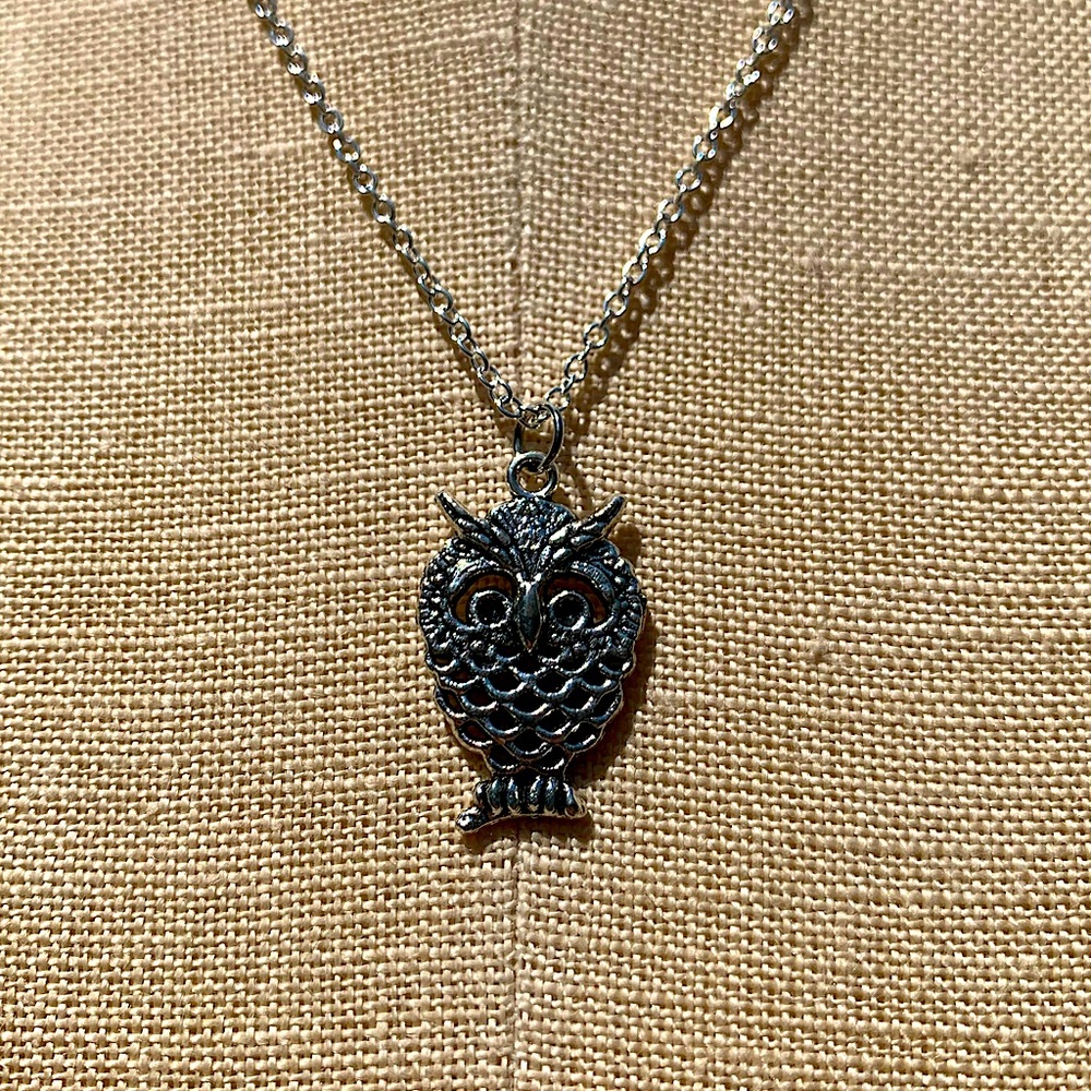 NWT Sterling Silver Plated Chain & Owl Alloy Metal Charm Necklace